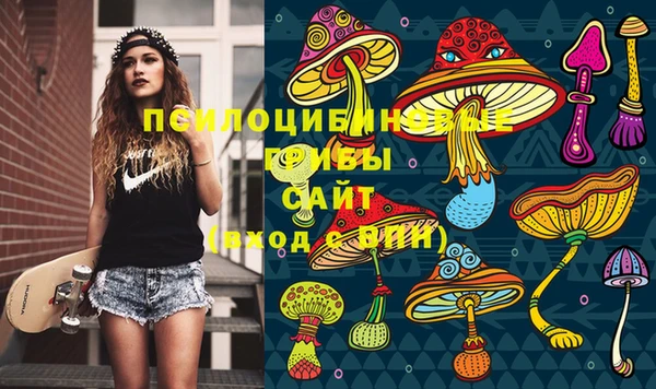 а пвп мука Верхний Тагил