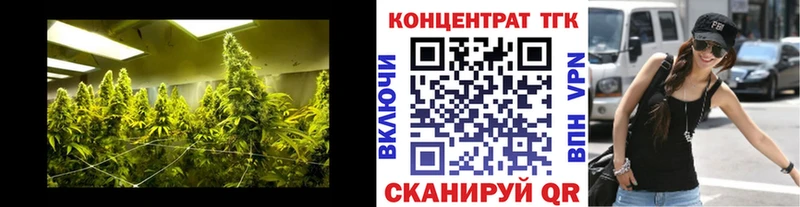 наркошоп  Касимов  кракен как зайти  ТГК вейп 
