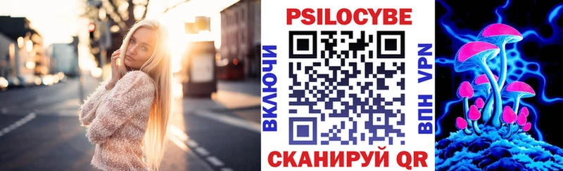 blacksprut ONION  Касимов  Псилоцибиновые грибы Psilocybe 