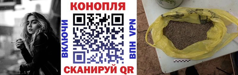 где купить наркотик  KRAKEN как войти  Шишки марихуана ГИДРОПОН  Касимов 
